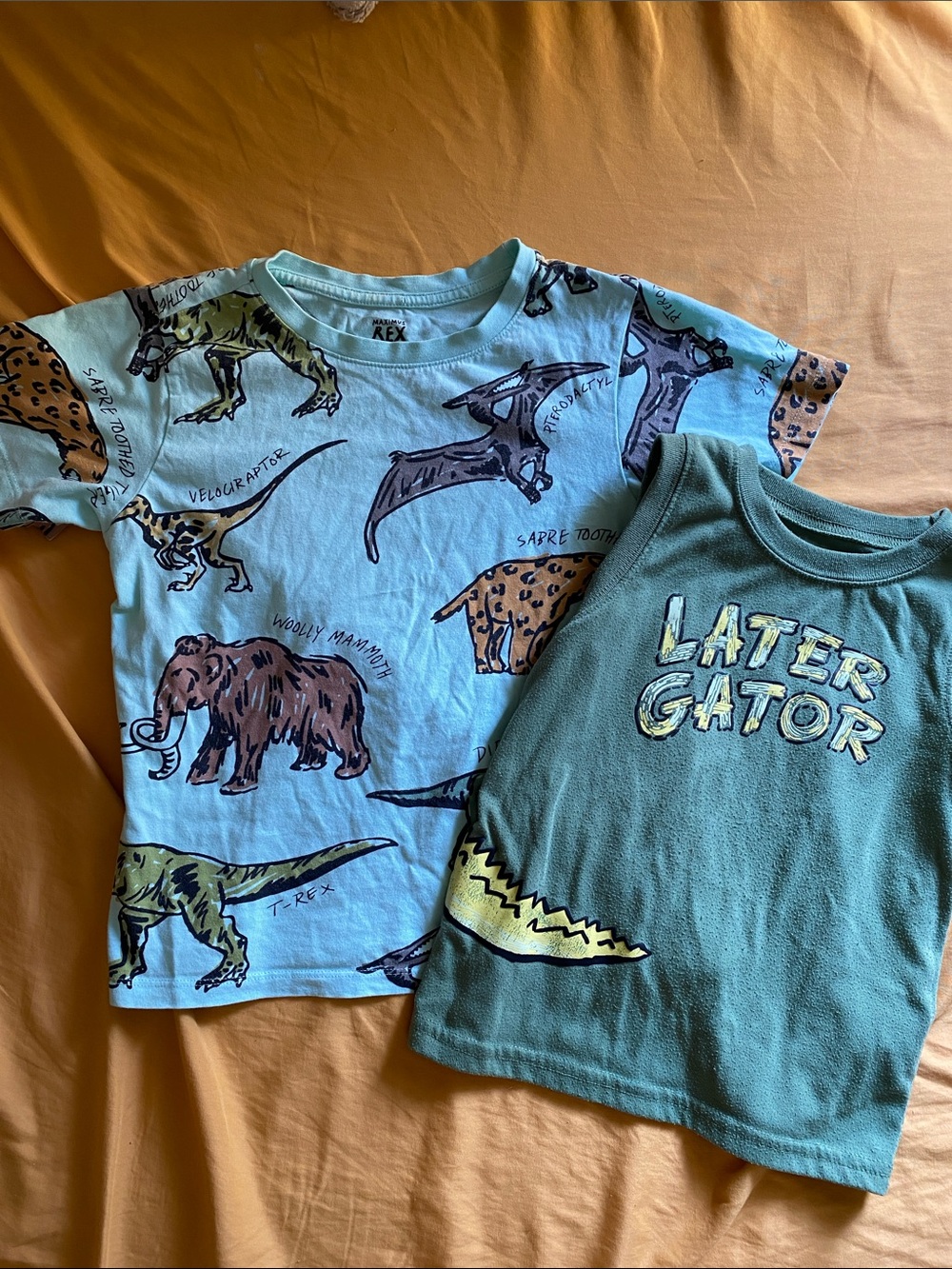 Kids' Dinosaur & Alligator T-Shirt Bundle